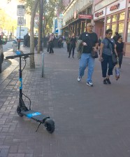 Bird scooters just came back to the streets of San Francisco. Photo: Melanie Curry/Streetsblog
