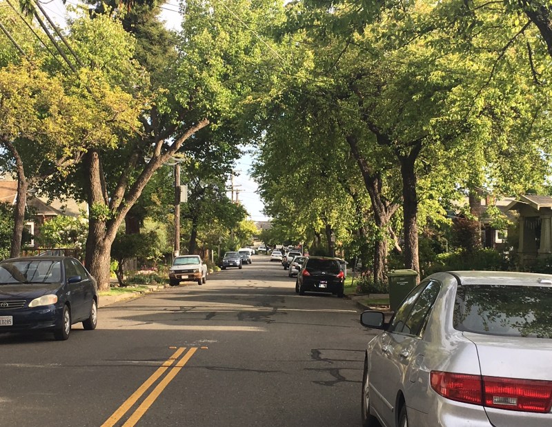 Greening up the urban forest can bring huge benefits to communities. Photo by Melanie Curry/Streetsblog