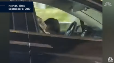 Video footage of a Tesla driver testing out the survivability of nap driving.