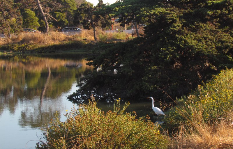 Aquatic Park, Berkeley. Photo by Melanie Curry/Streetsblog