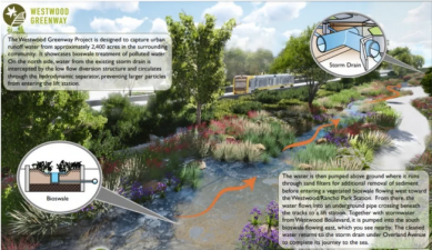 Rendering of Westwood greenway, showing drainage plan