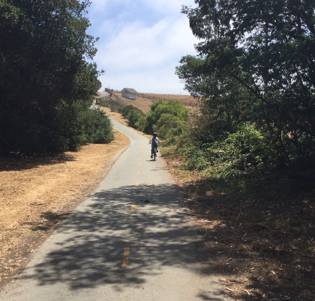 Bike path in Wilder Ranch State Park